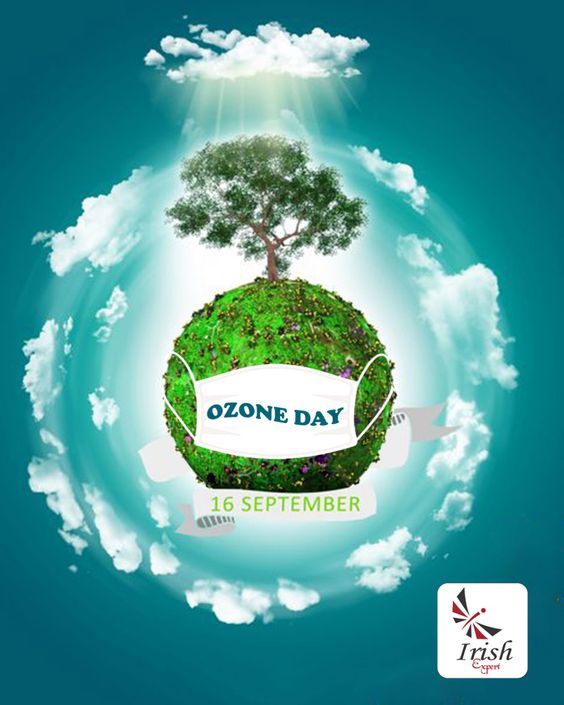 Ozonun Etkileri